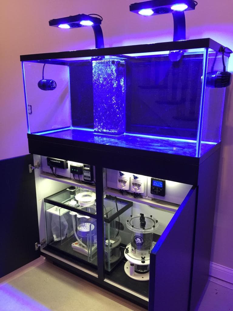 Aquarium With Sump Filtration