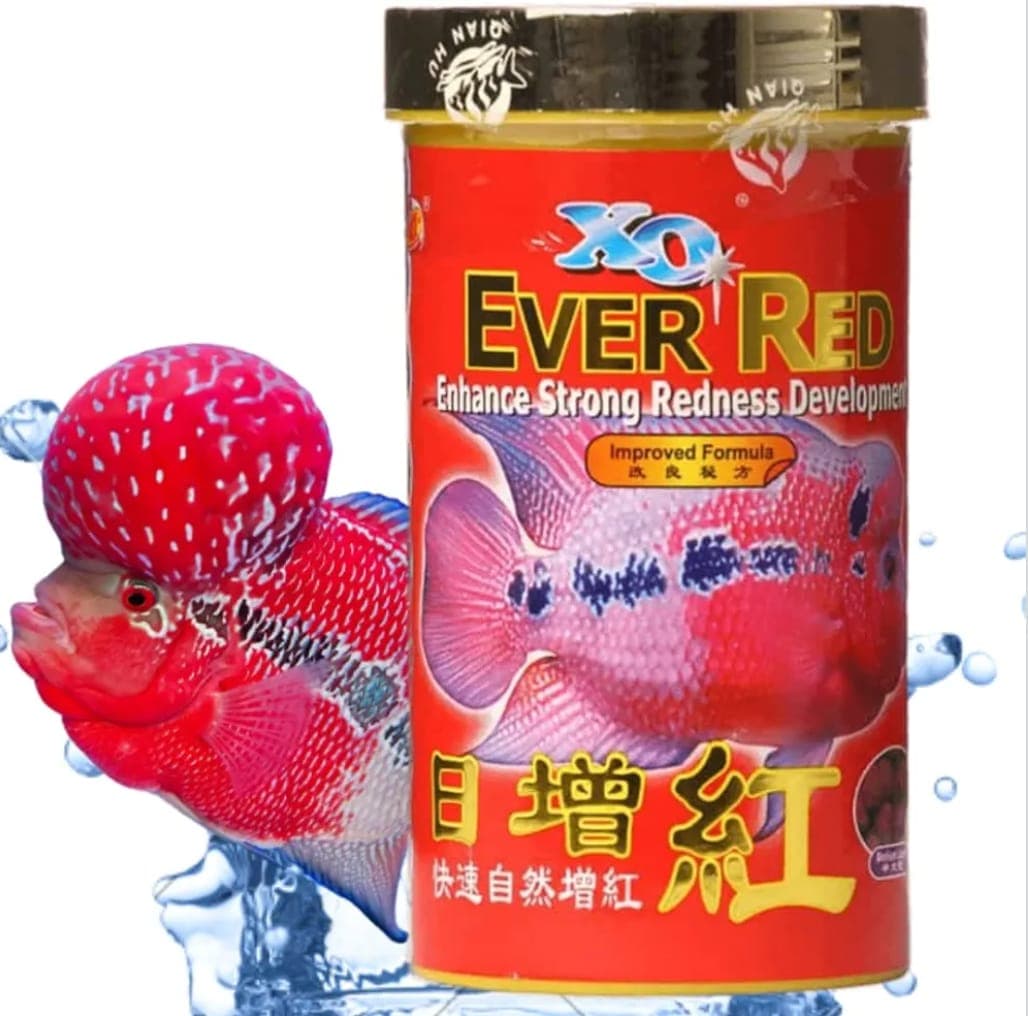 XO Ever Red Flowerhorn Food