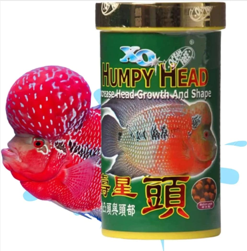 XO Humpy Head Flowerhorn Food